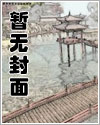 白骑士守则