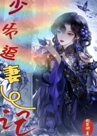 少爷追妻记（1V1）